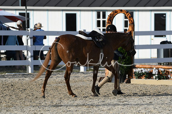 HSM_4416