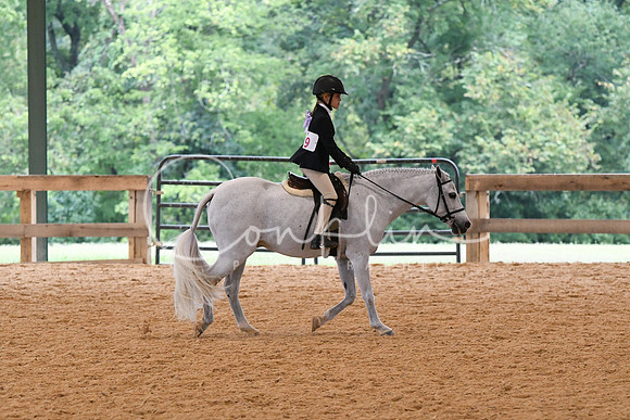 HSM_4953