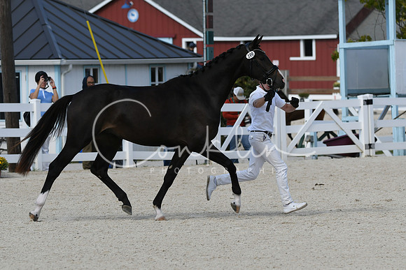 HSM_5302