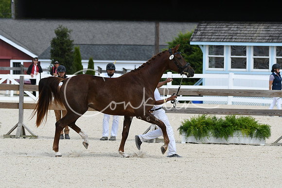 HSM_4924