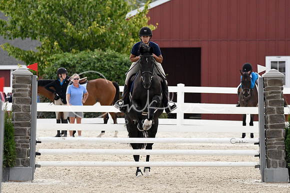 HSM_3196-1
