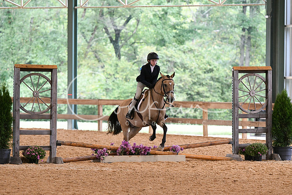 HSM_6981