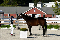 HSM_5439