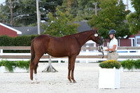 HSM_5729
