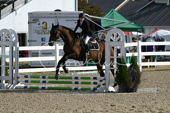 HSM_1443