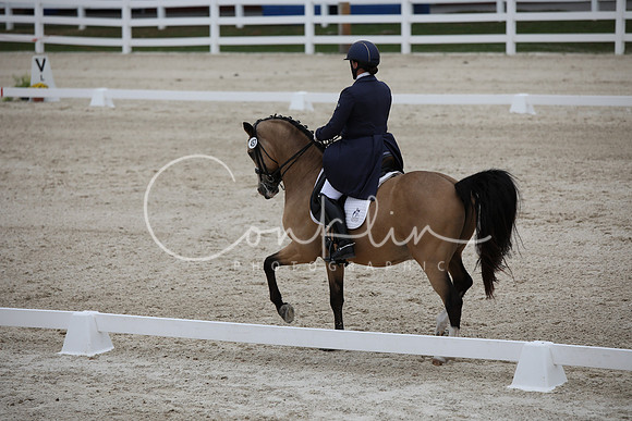 BW185716