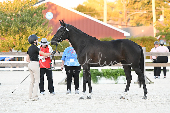 HSM_5688