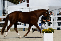 HSM_4954