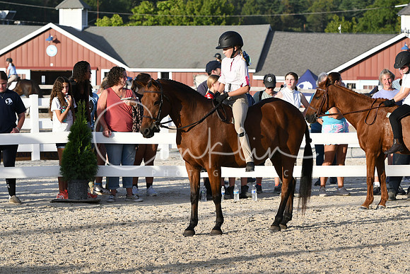 HSM_4744