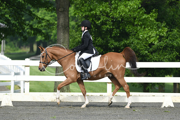 HSM_1043