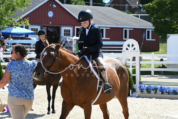 HSM_3367