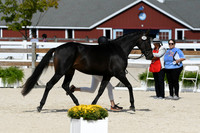 HSM_5166