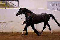 RJC34333
