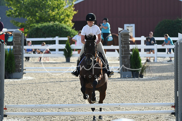 HSM_1206