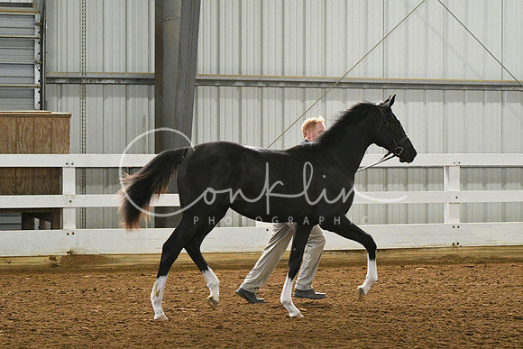HSM_3624