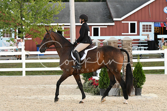 HSM_0378