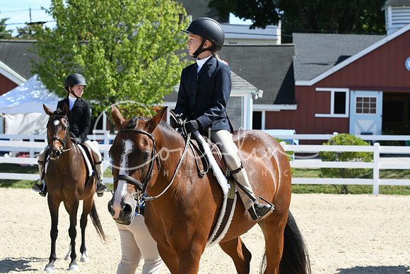 HSM_3373