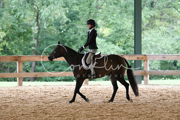 HSM_8279
