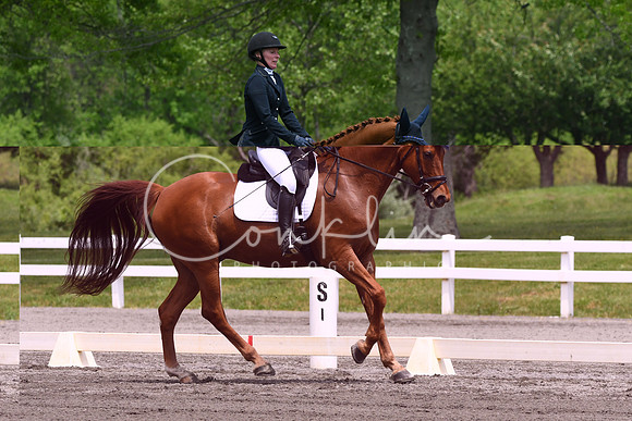 HSM_0279
