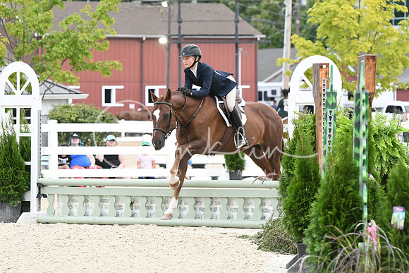 HSM_5037