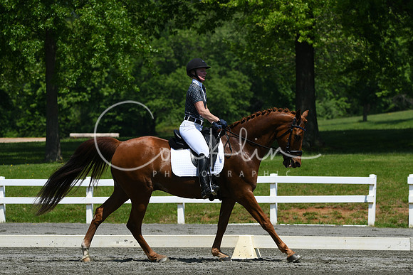 HSM_2062