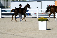 HSM_4427