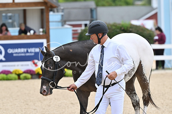 MAK_1197