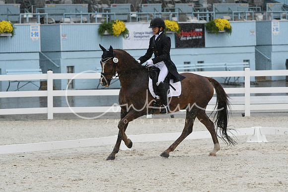 HSM_0965