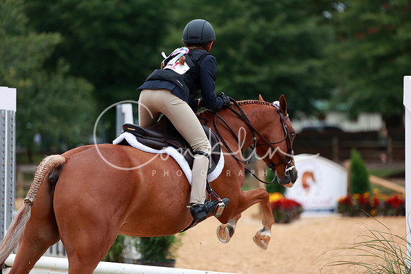IMG_8747-