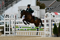 HSM_3021