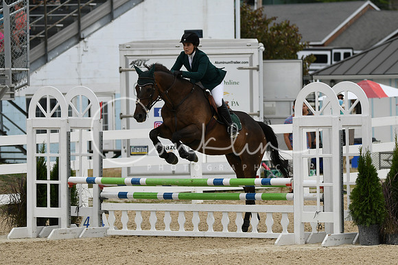 HSM_3021