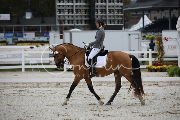 BW187255