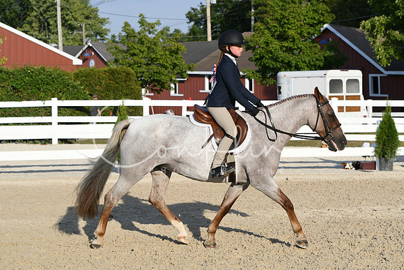 HSM_0133