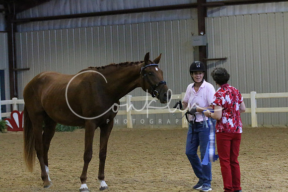 IMG_8584
