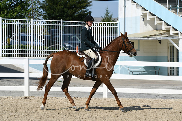 HSM_8295