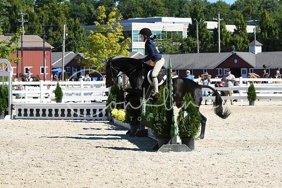 HSM_2694