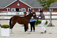 HSM_5358