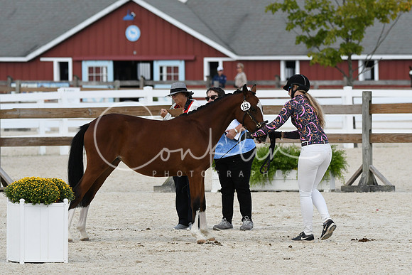HSM_5358