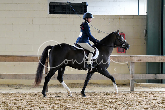 HSM_1243-1