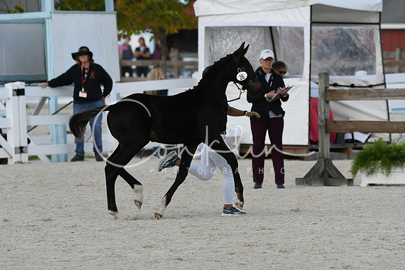 HSM_5287