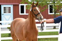 HSM_6177