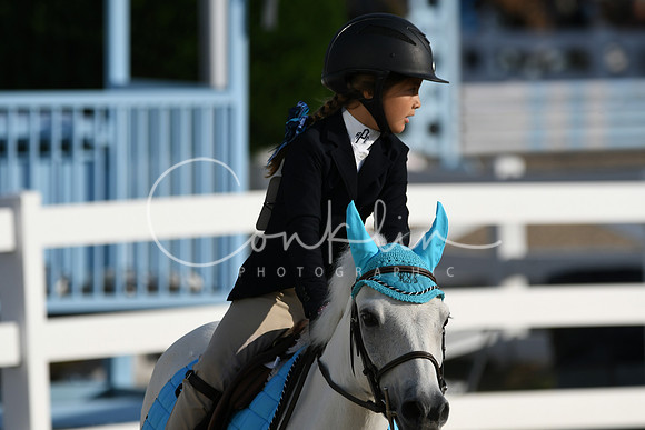 HSM_1199
