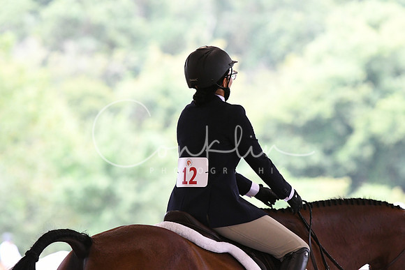 HSM_7854