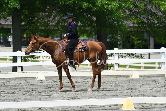 HSM_2935