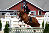HSM_9094-1
