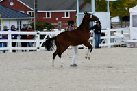 HSM_5363