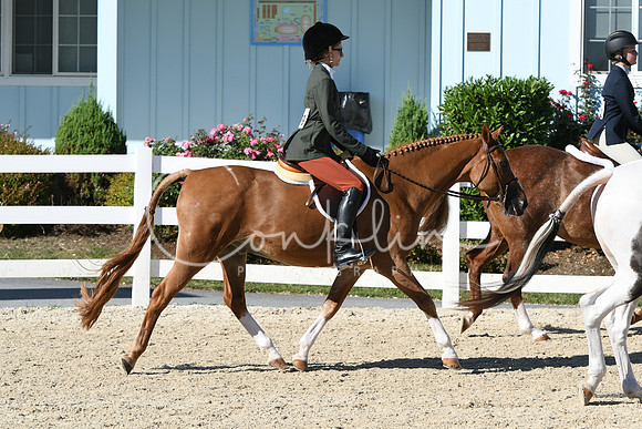 HSM_2297