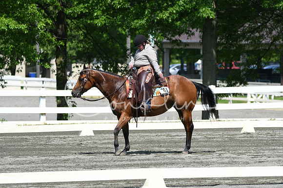 HSM_2704