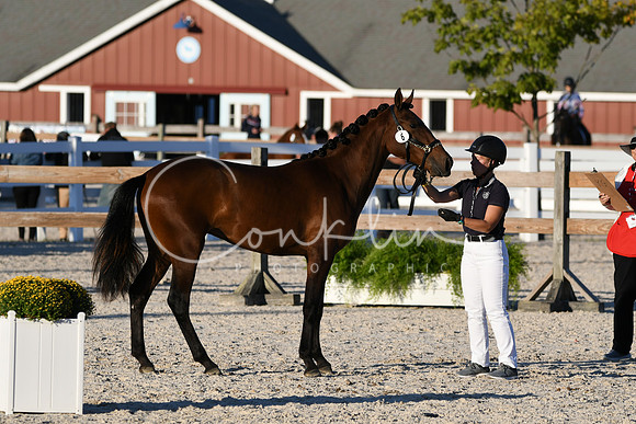HSM_5612