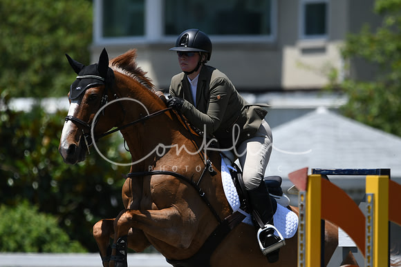 HSM_3341